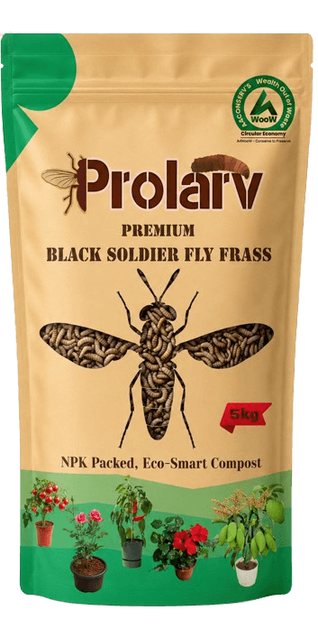 Black Soldier Fly Frass - slide 2